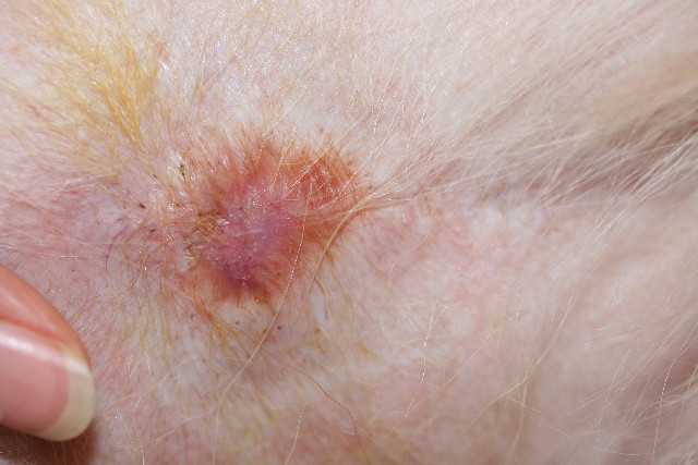 ファイル 781-1.jpg