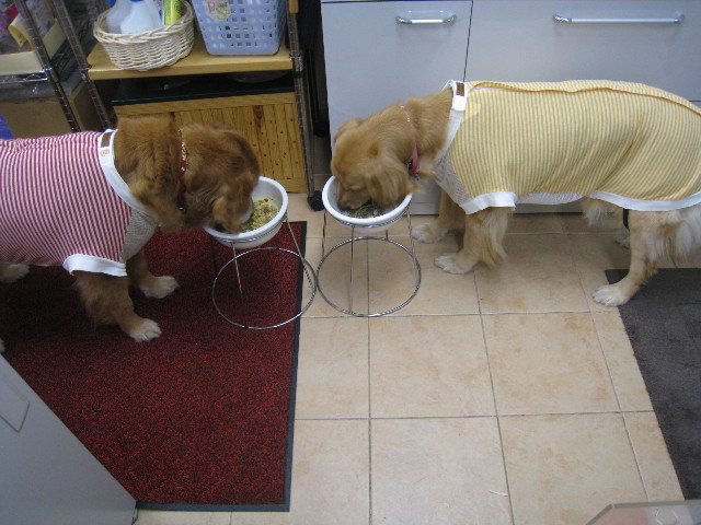 ファイル 781-3.jpg