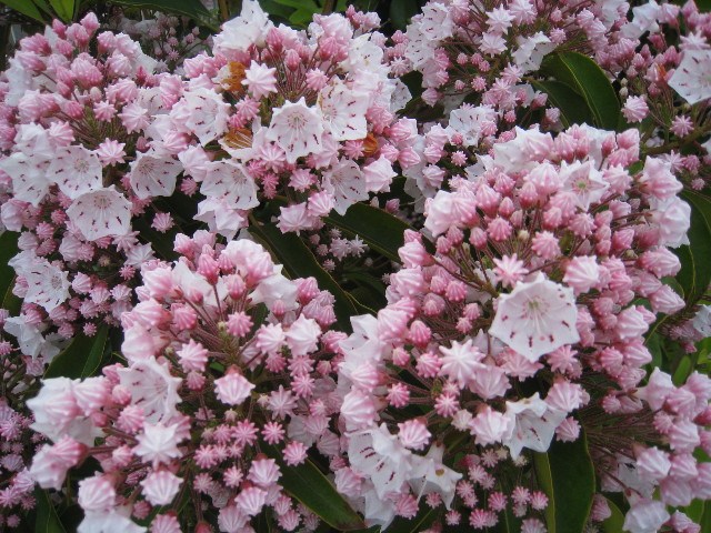 ファイル 781-5.jpg