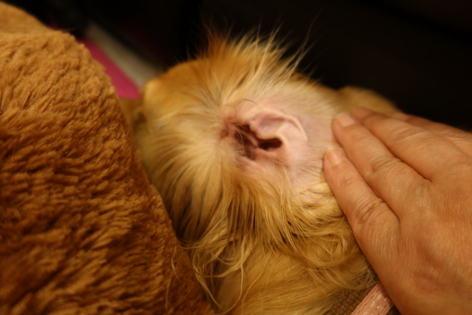 ファイル 7810-2.jpg