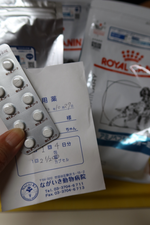 ファイル 7810-4.jpg