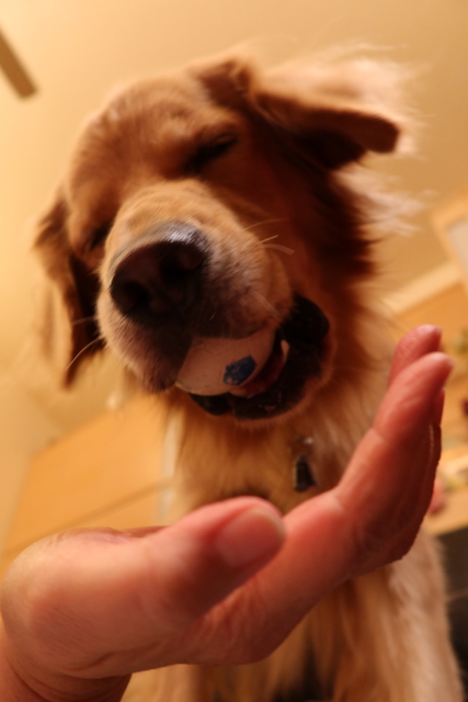 ファイル 7811-4.jpg