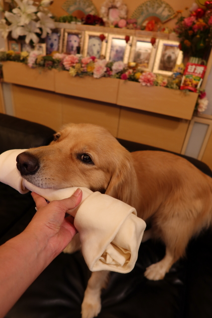 ファイル 7812-3.jpg