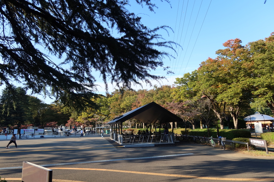 ファイル 7812-5.jpg