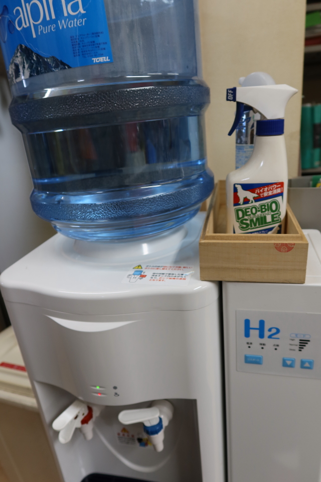 ファイル 7813-1.jpg