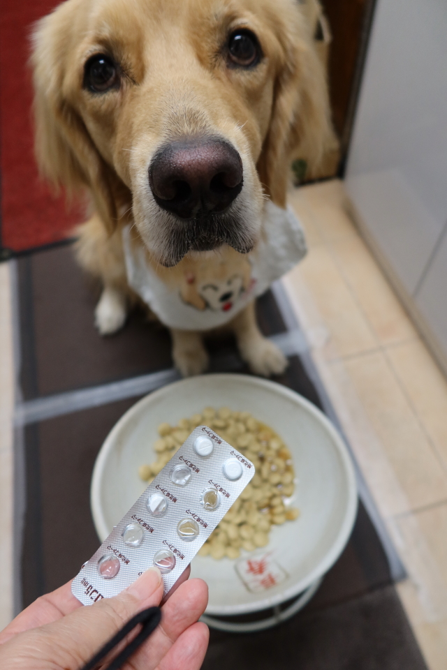 ファイル 7813-4.jpg