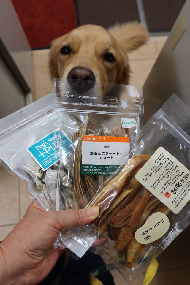 ファイル 7817-4.jpg