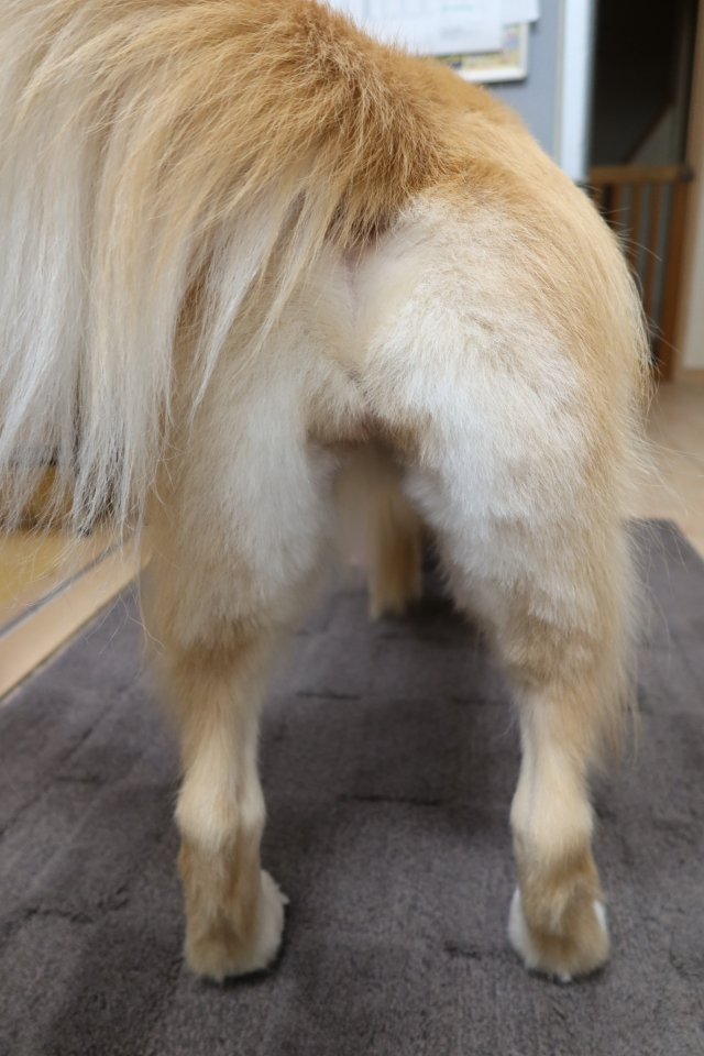 ファイル 7817-5.jpg