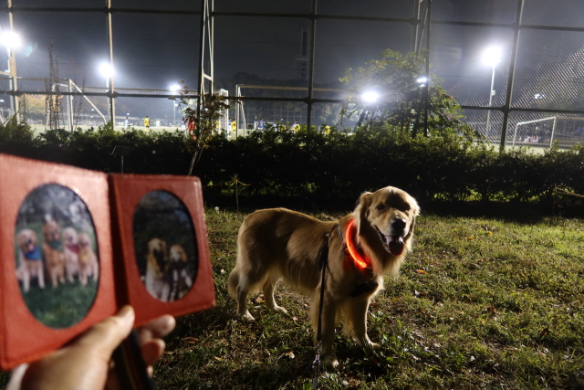 ファイル 7818-5.jpg