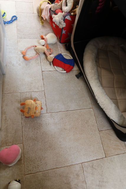 ファイル 7819-2.jpg