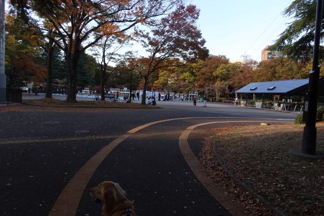 ファイル 7819-3.jpg