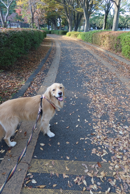 ファイル 7819-4.jpg