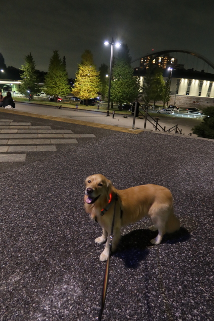 ファイル 7820-2.jpg