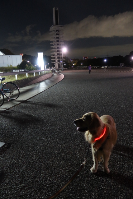 ファイル 7820-3.jpg