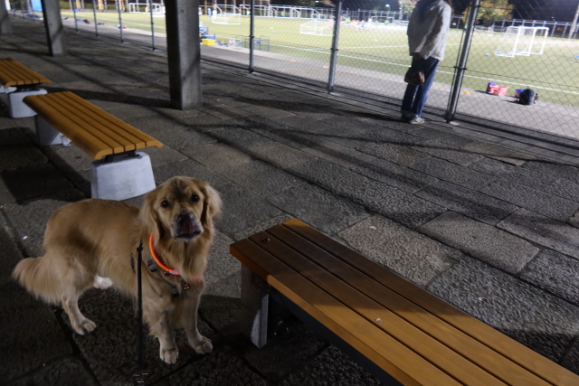 ファイル 7820-4.jpg