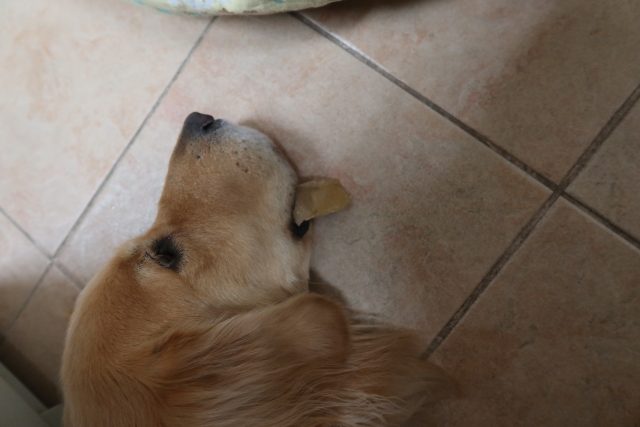 ファイル 7820-5.jpg