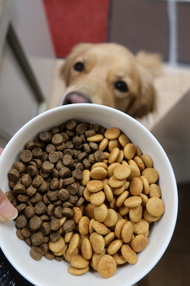 ファイル 7821-5.jpg