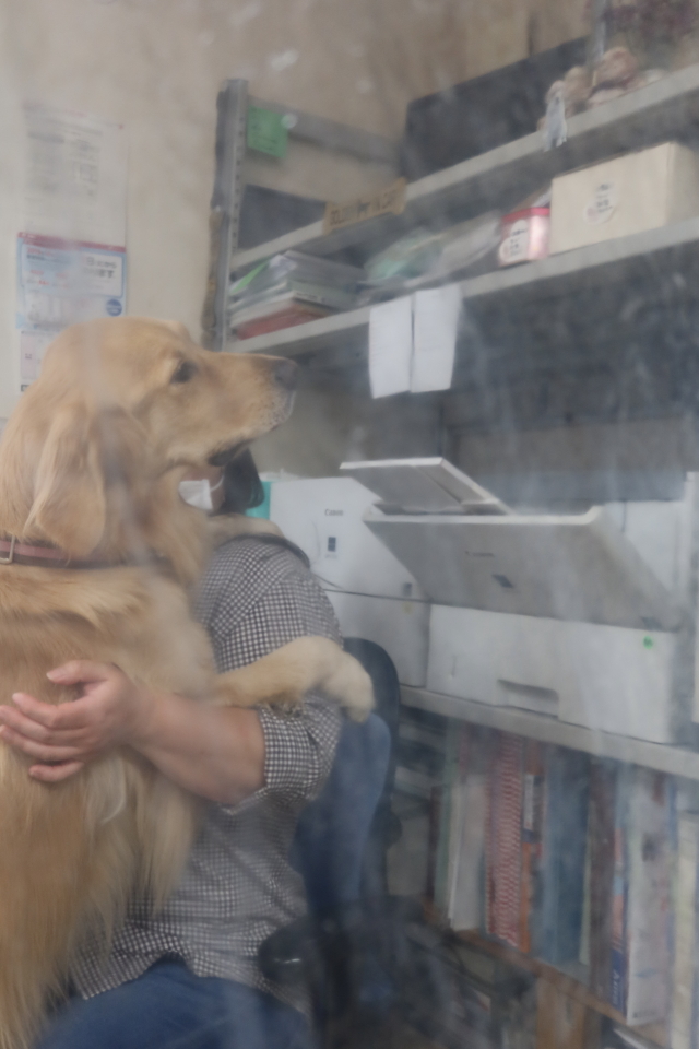 ファイル 7824-1.jpg