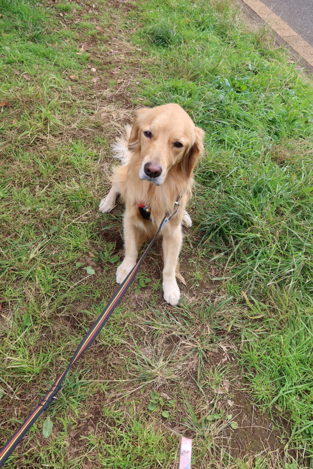 ファイル 7824-2.jpg