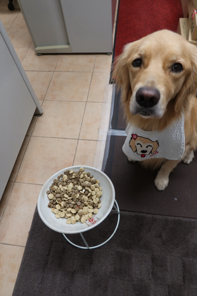 ファイル 7824-3.jpg