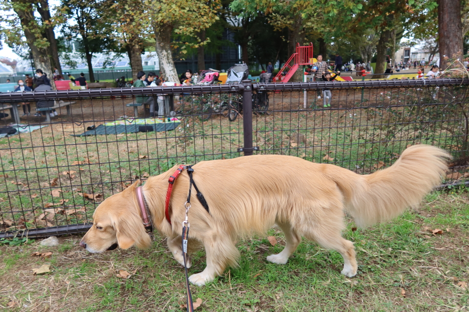 ファイル 7824-4.jpg