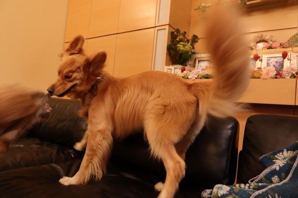 ファイル 7824-5.jpg