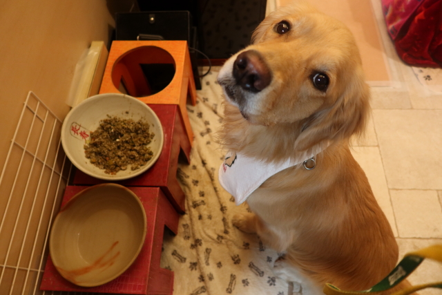 ファイル 7826-1.jpg