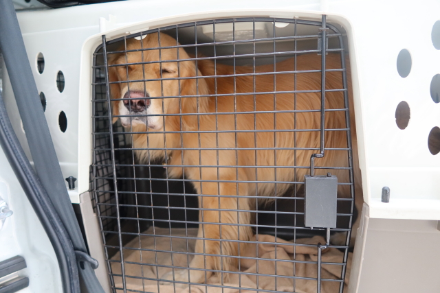 ファイル 7826-2.jpg