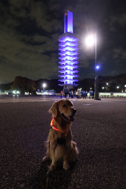 ファイル 7826-5.jpg