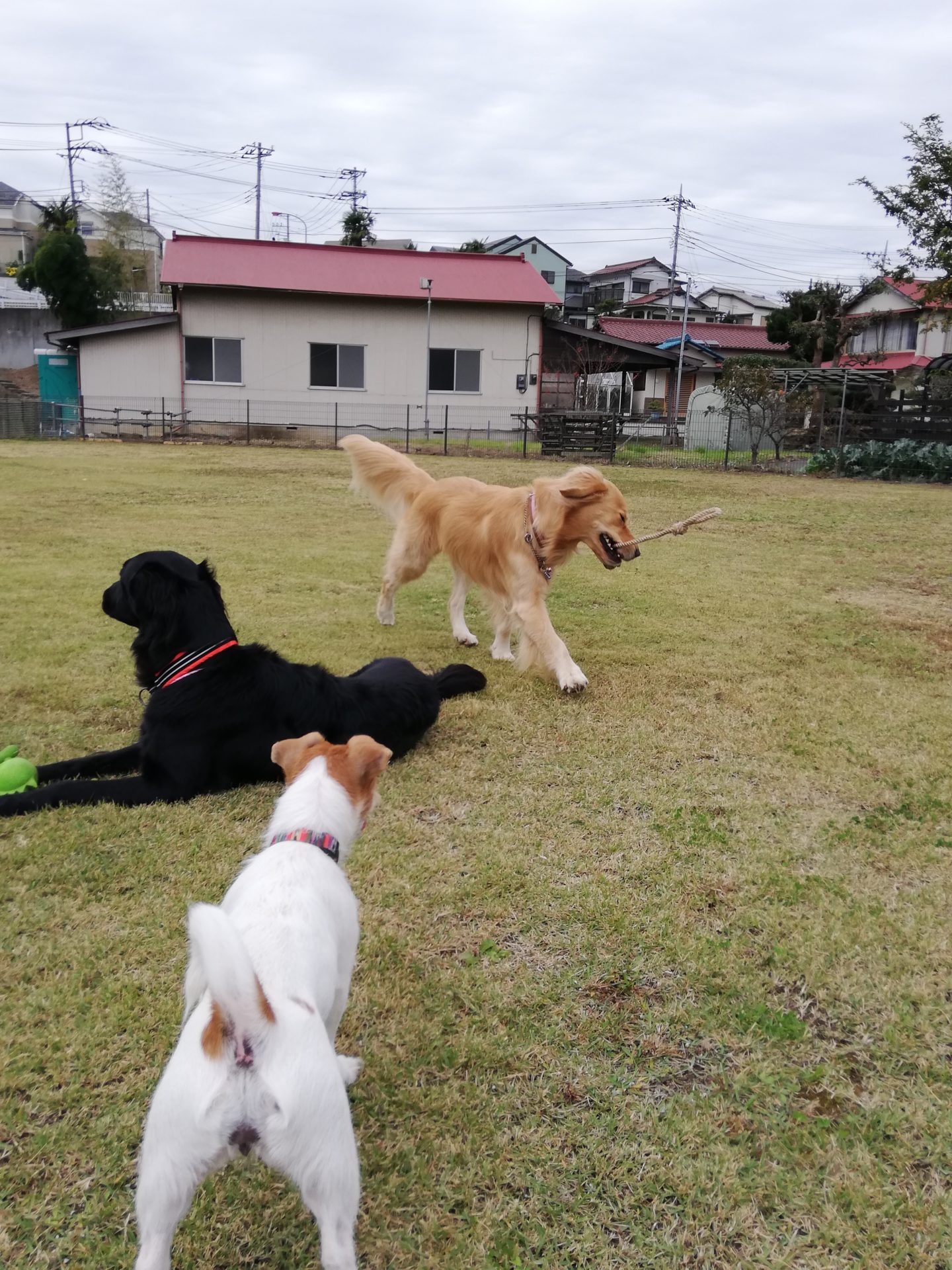 ファイル 7827-3.jpg