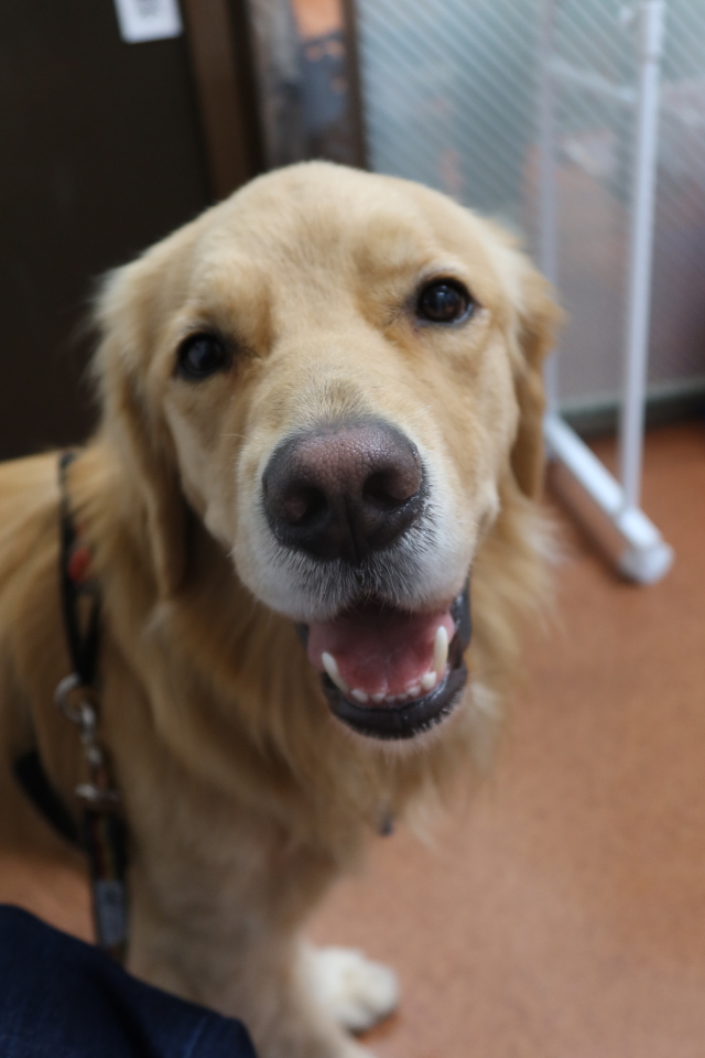 ファイル 7828-1.jpg