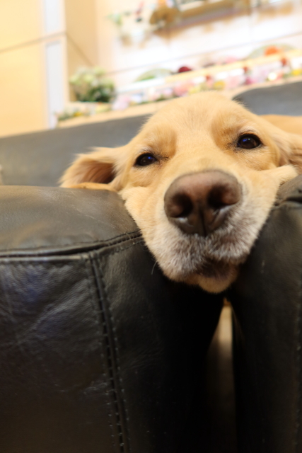 ファイル 7828-5.jpg