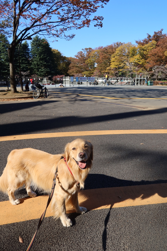 ファイル 7829-4.jpg