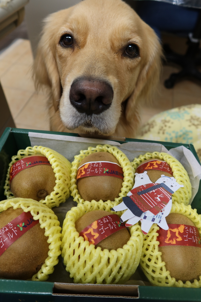 ファイル 7829-5.jpg