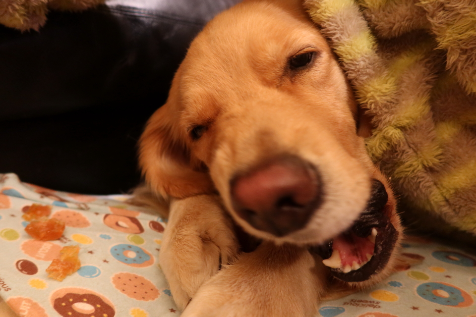 ファイル 7830-4.jpg