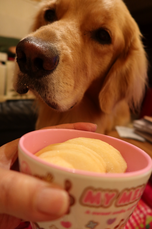 ファイル 7830-5.jpg