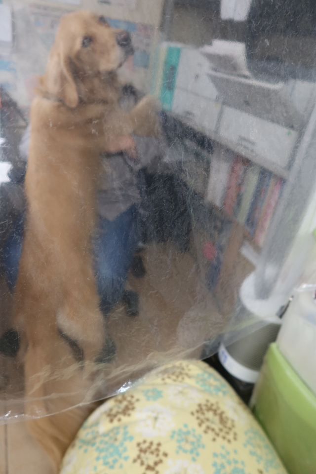 ファイル 7831-3.jpg