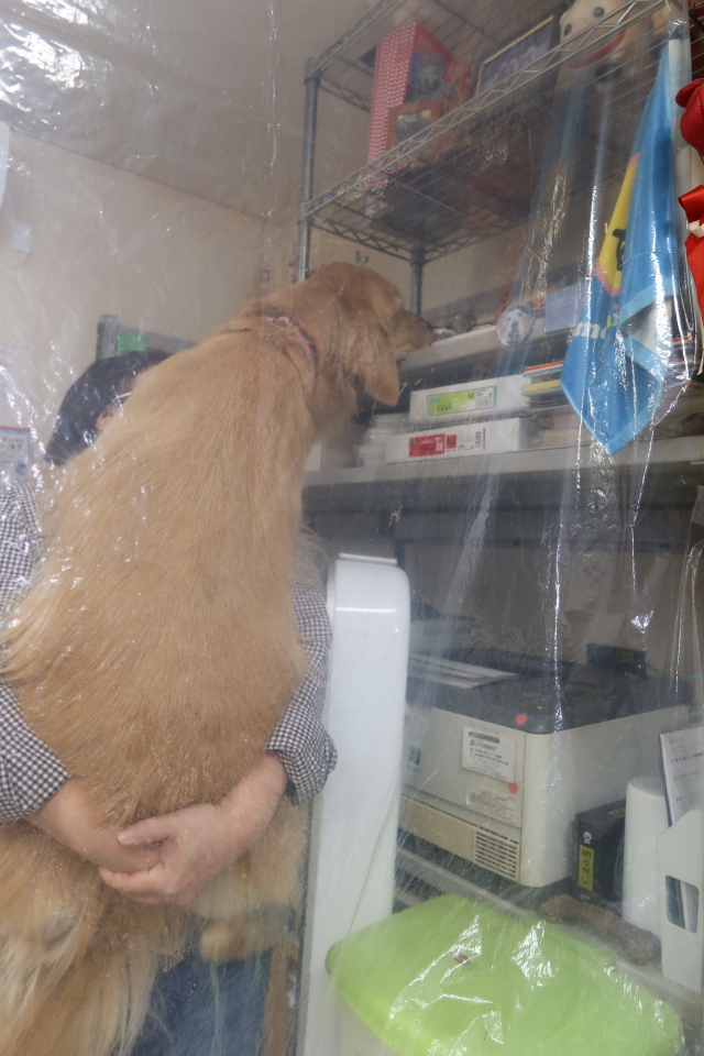 ファイル 7831-4.jpg