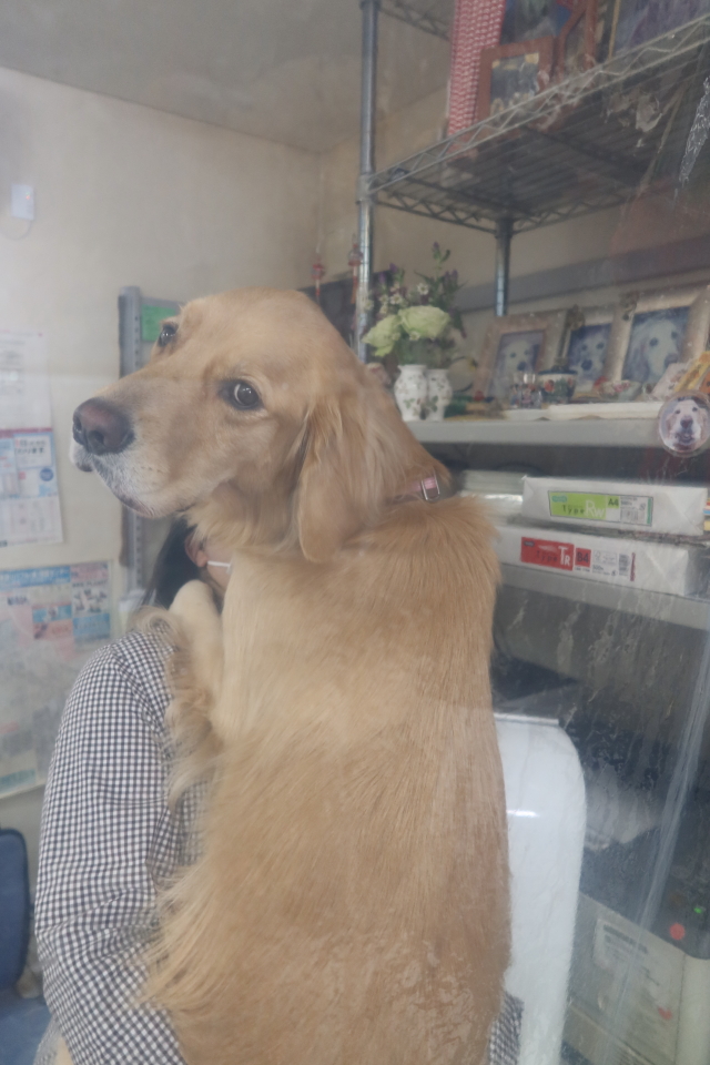 ファイル 7831-5.jpg