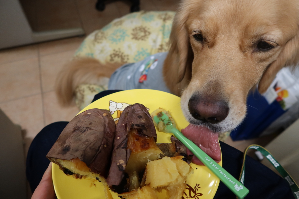 ファイル 7832-2.jpg