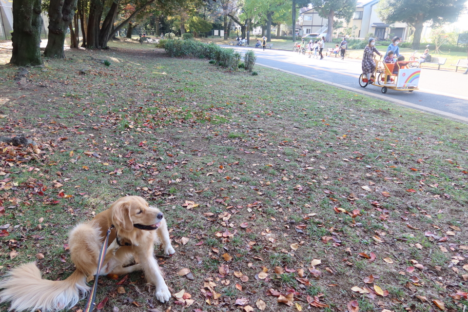 ファイル 7832-5.jpg