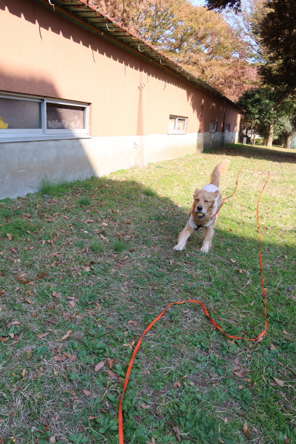 ファイル 7833-3.jpg