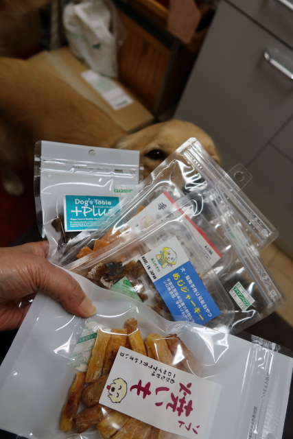 ファイル 7833-5.jpg