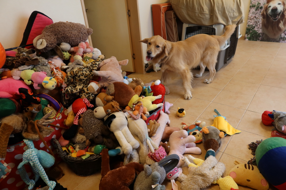 ファイル 7836-5.jpg