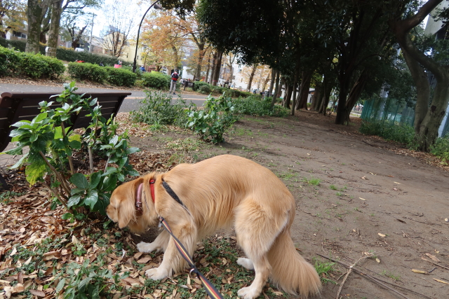 ファイル 7837-2.jpg