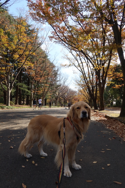 ファイル 7837-5.jpg