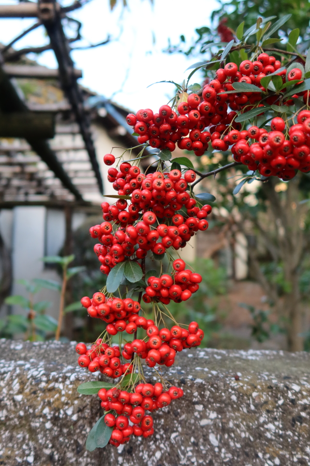 ファイル 7839-1.jpg