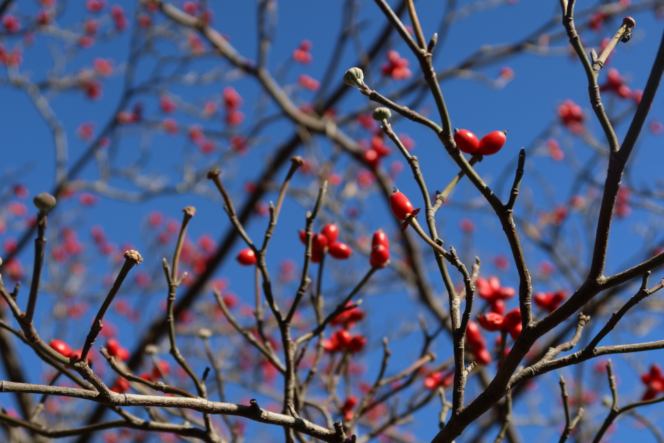 ファイル 7839-4.jpg