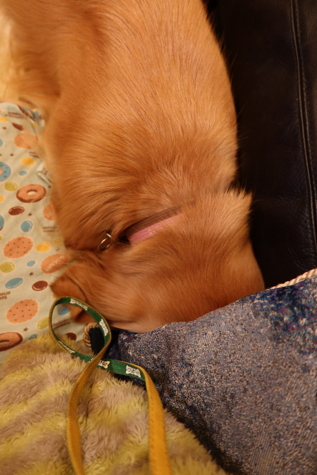 ファイル 7840-5.jpg