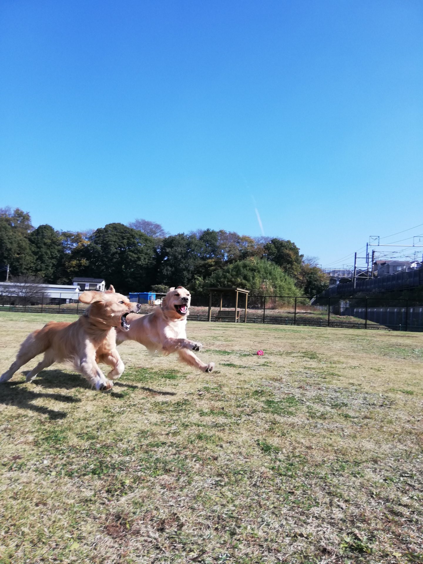 ファイル 7841-1.jpg